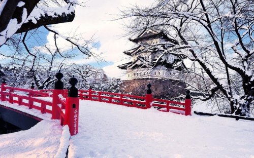 Featured Theme: Japanese Winter Theme